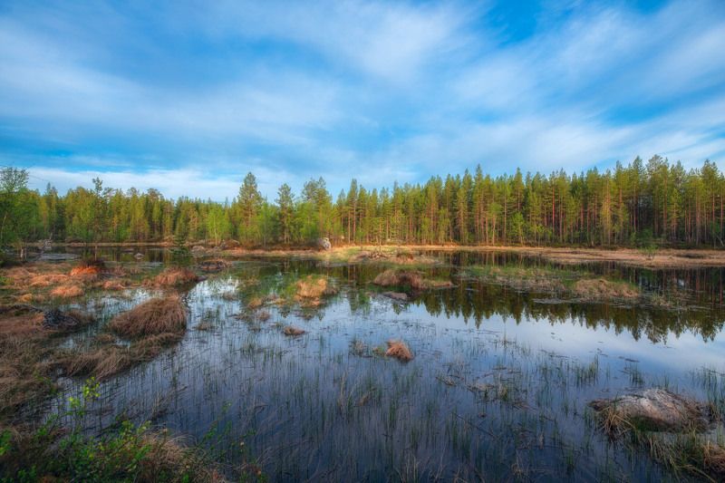 утро в Мурманской областиphoto preview
