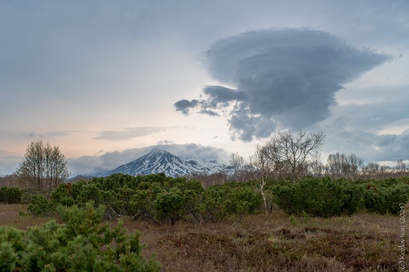 Домаphoto preview