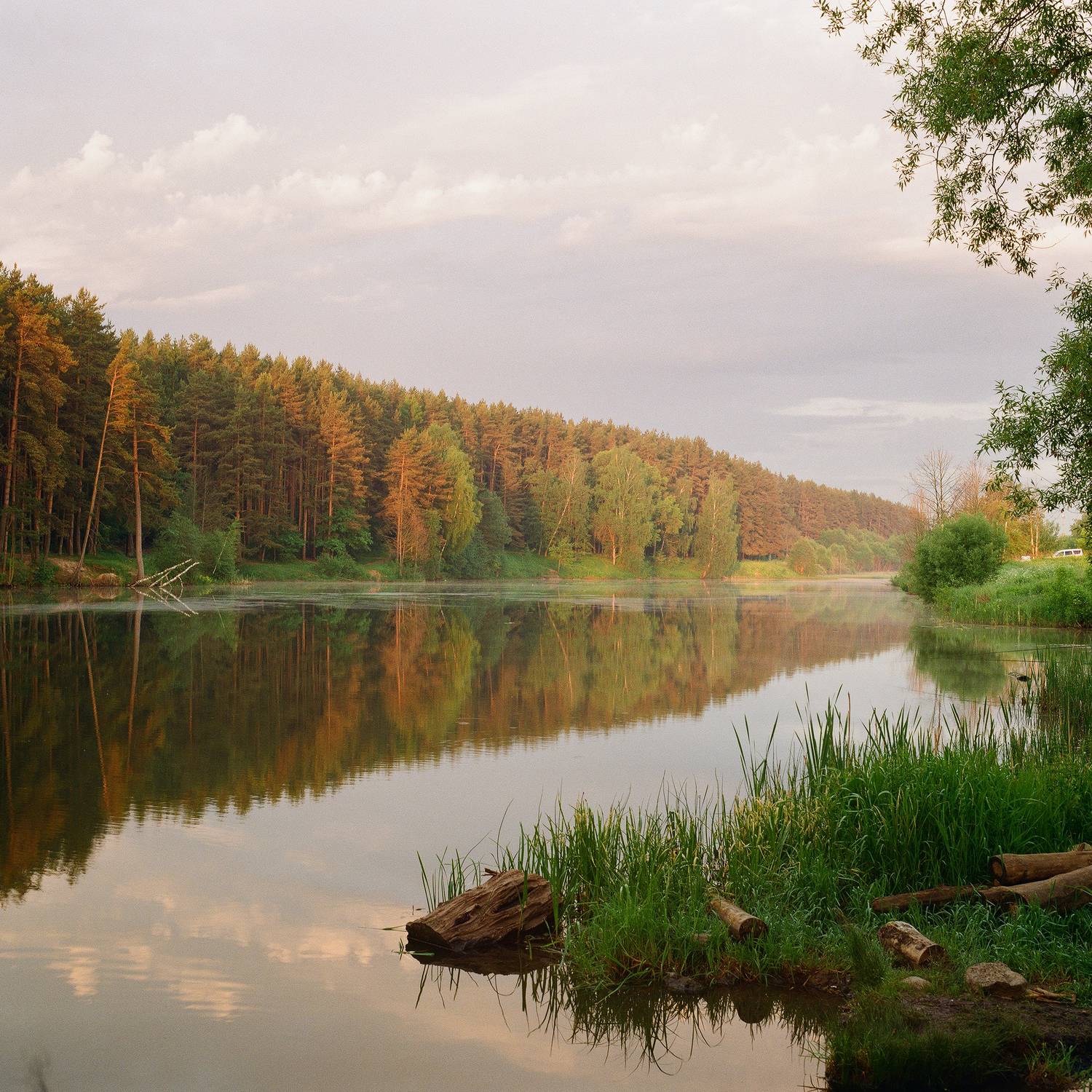 пейзаж, пленка, широкая пленка, пейзаж на пленку, природа, Московская область, рассвет, Мартыненко Дмитрий