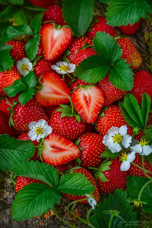 *** фото превью