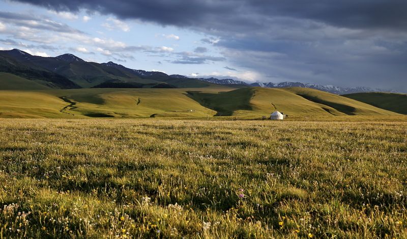 АССЫ ТУРГЕНЬphoto preview