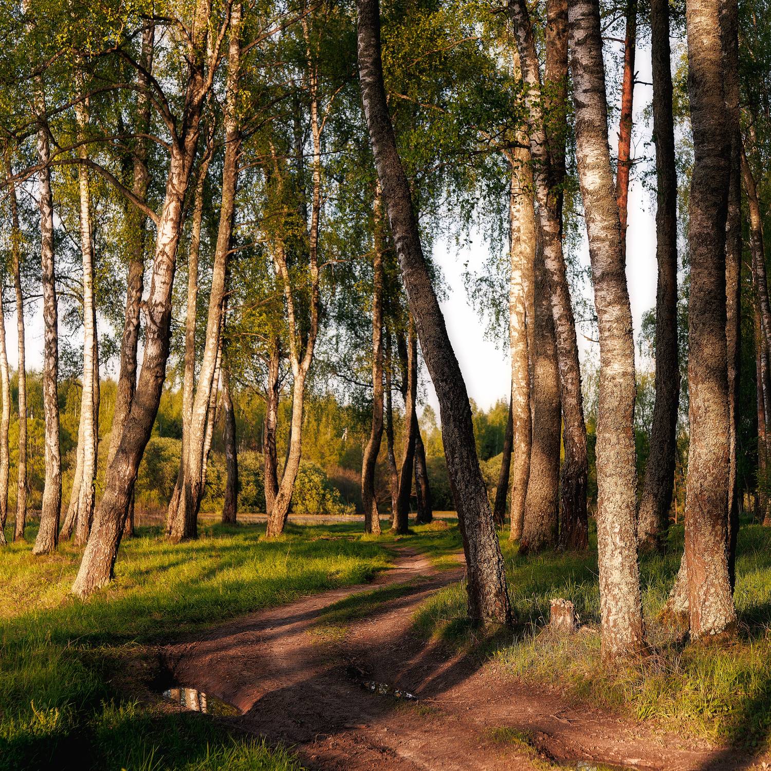 , Загруев Михаил