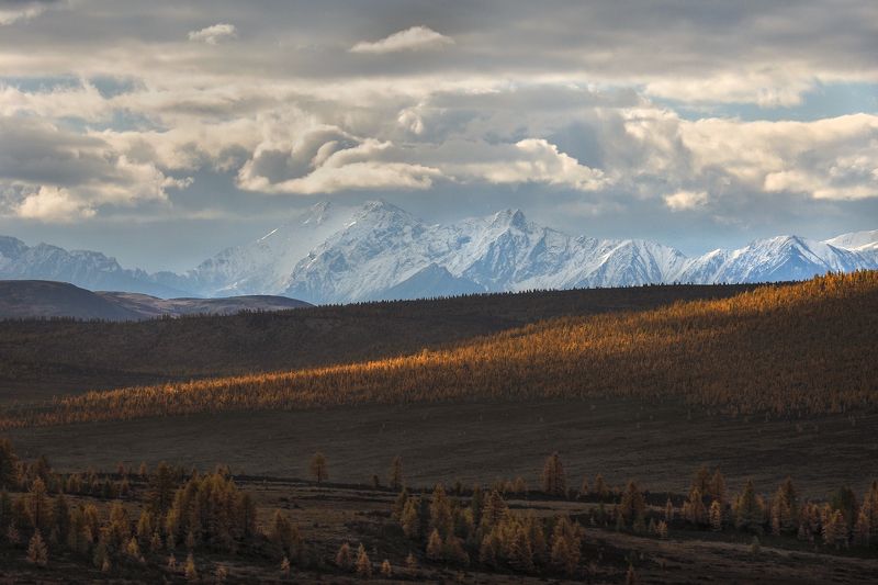 Где-то в Восточных Саянахphoto preview