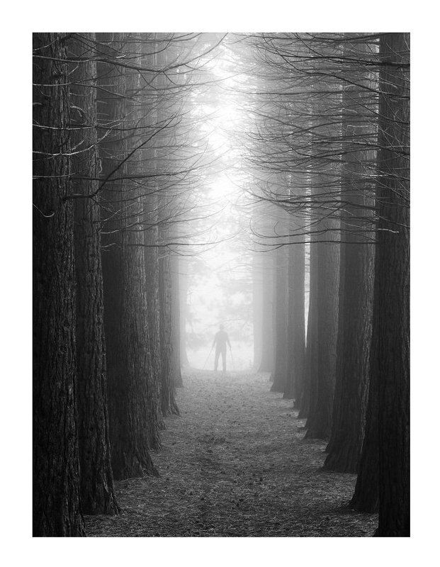 Пейзаж, Пленка К свету...photo preview