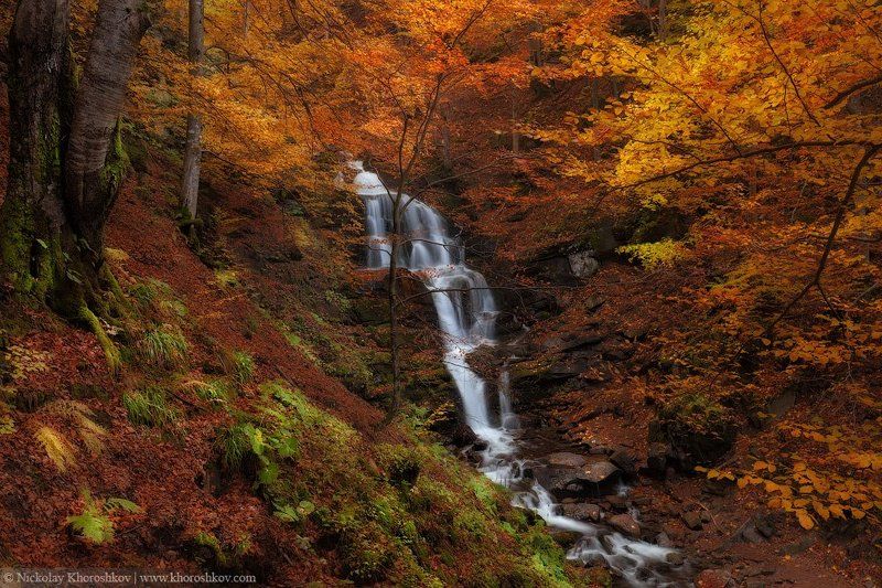 Водопад, Карпаты, Лес, Осень, Пейзаж, Украина Сокрытое в листвеphoto preview