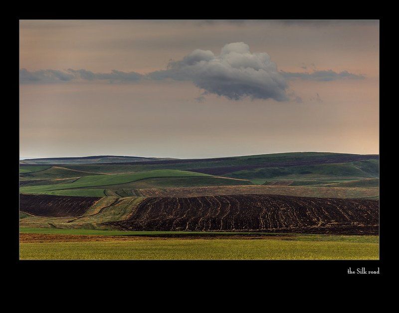 про багарные зяби… или пара слов за сингулярностьphoto preview