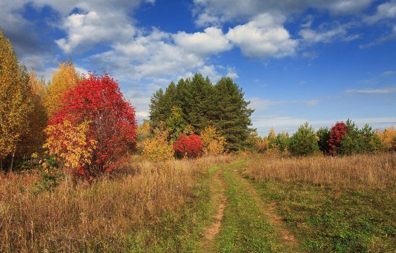 Цветные шары осениphoto preview