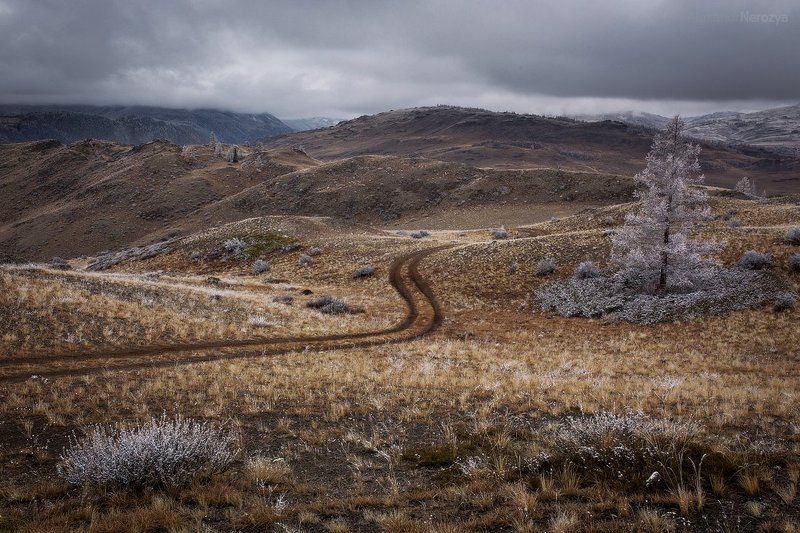 алтай, горы, камни, небо, пейзаж, погода, природа, путешествия, россия, северо-чуйский, сибирь, туризм, снег Седая осеньphoto preview