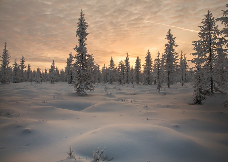 Закат, Новый уренгой, Ноябрь, Ямал ***photo preview