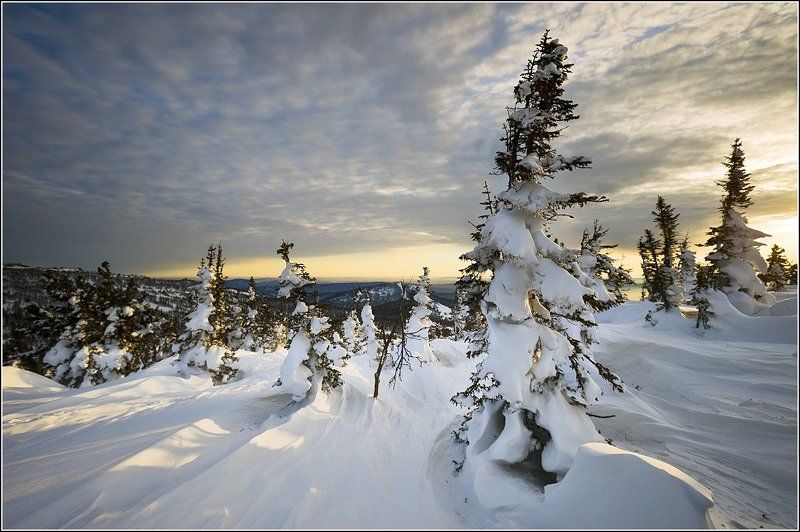 зима, снег, заснеженные, деревья, горная, шория, шерегеш, каритшал, андрей, стыврин возвращение в сказкуphoto preview
