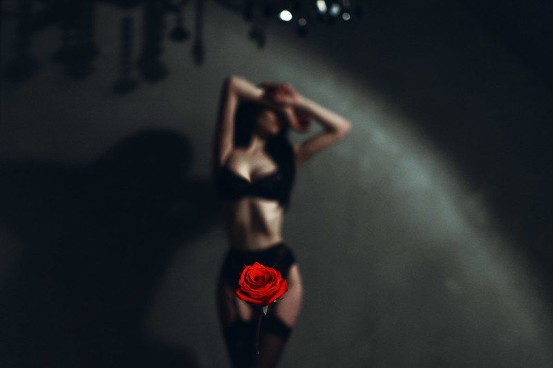 rose, gothic, noir The Rosephoto preview