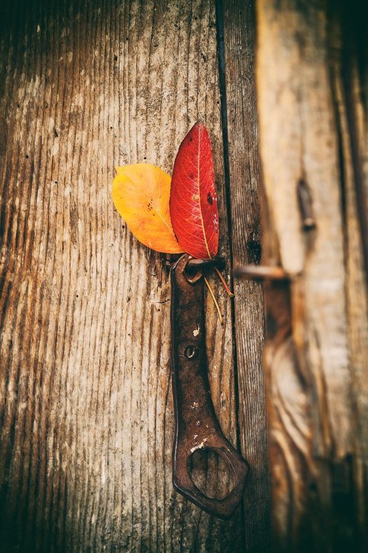 Я хотел замкнуть осень фото превью