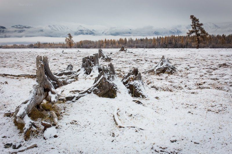 алтай, горы, камни, небо, пейзаж, погода, природа, путешествия, россия, северо-чуйский, сибирь, туризм, снег Октябрьphoto preview