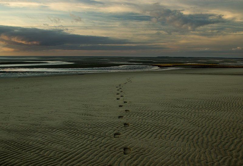 *следы на песке*photo preview