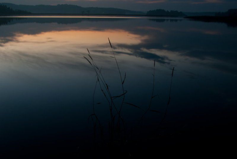 Розовые ночи Карелииphoto preview