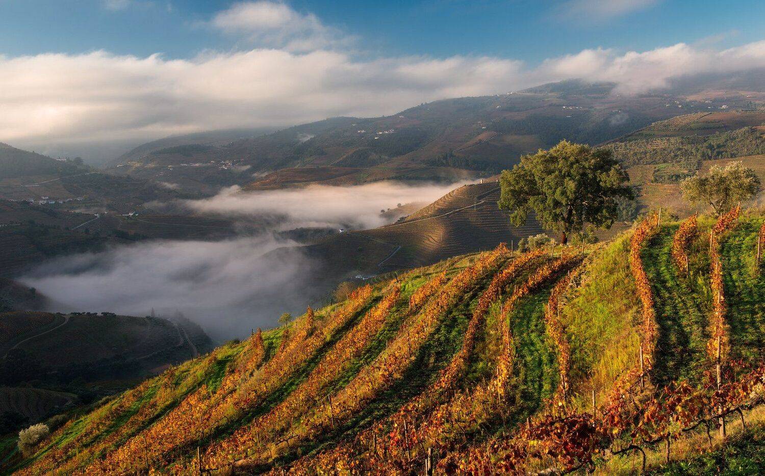 Долина реки Дору. Автор: Андрей Ведерников , Андрей Ведерников