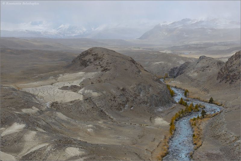 алтай, константин белошапкин, оазис, осень, полупустыня, чаган узун, чуйская долина, чуйская степь Река пустыниphoto preview