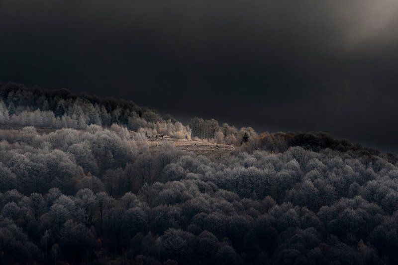 Igor Syrbu, Moldova