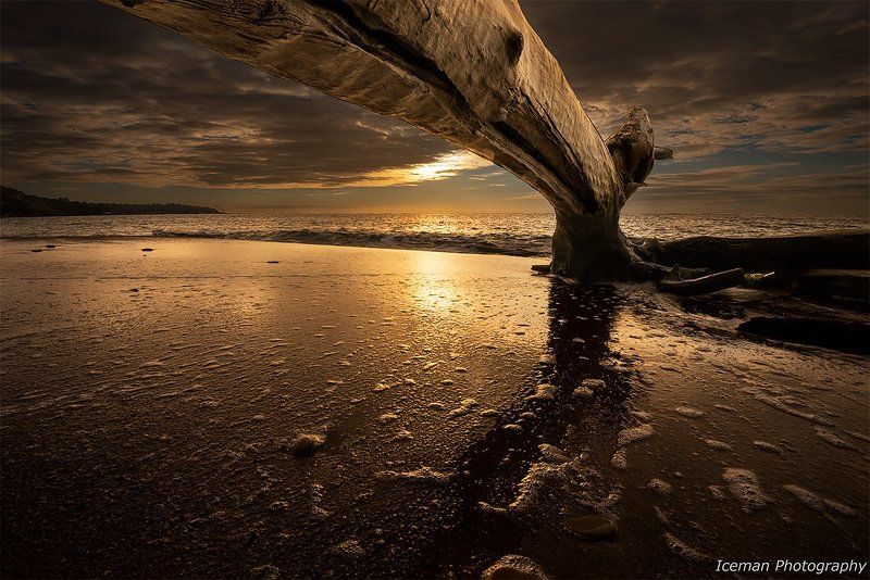 Утромphoto preview