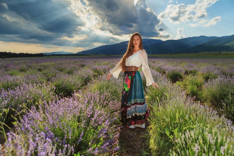 Закат над растущей лавандой фото превью