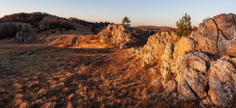 Происхождение цветаphoto preview