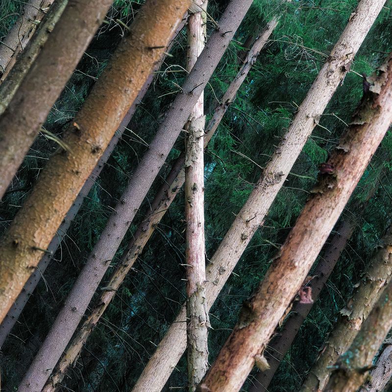 Горизонты 2.0 фото превью