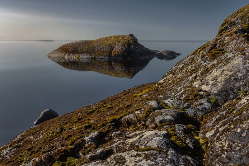 озеро, вода, гладь, утро, камни, скалы, мох Утро на Ладогеphoto preview