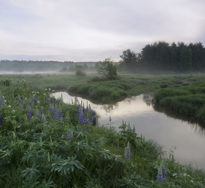 После дождяphoto preview