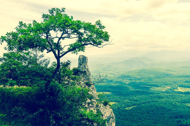 Сала Чёртов Палецphoto preview