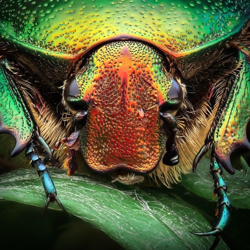 Где же прячется маленький гость?photo preview