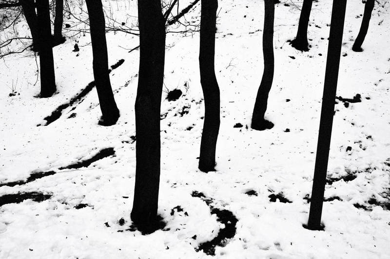 пейзаж Нетипичный пейзажphoto preview