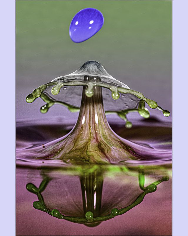 drop water, drop, macro, Beyond the Stormphoto preview