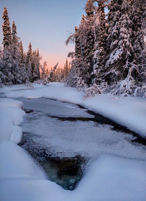 Вечерние краскиphoto preview