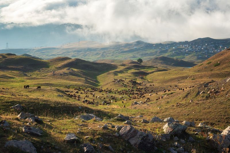 Туман над долинойphoto preview