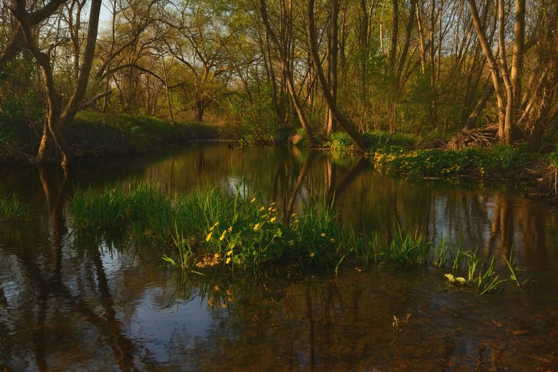 приморье Один вечер мая.photo preview