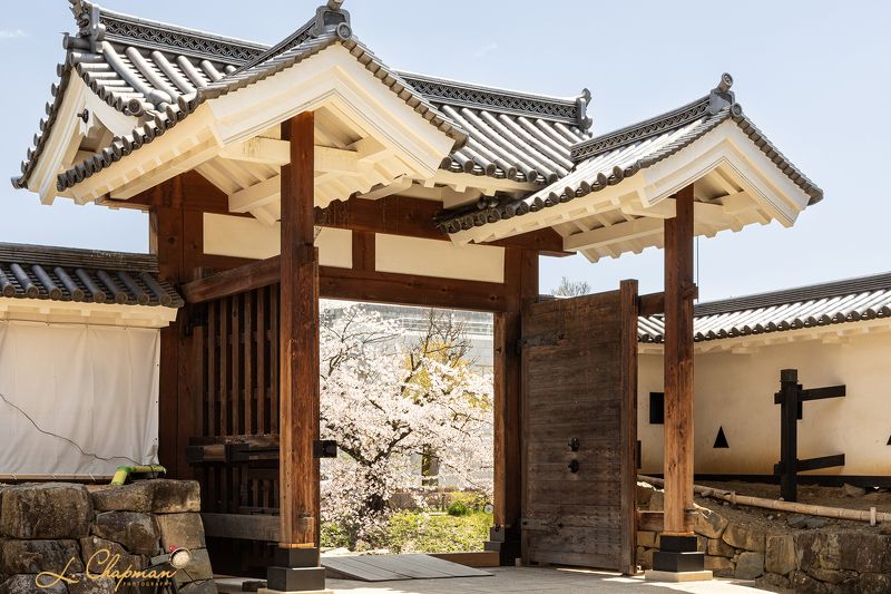 Entrance to Matsumoto Palace, Japanphoto preview