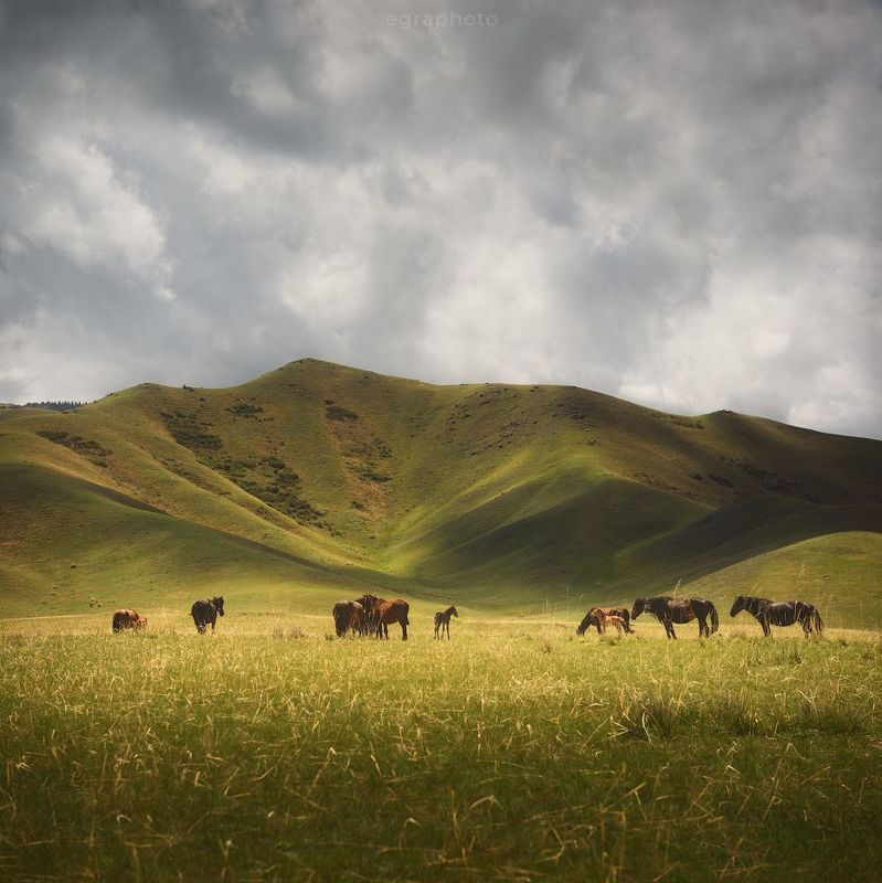 казахстан Казахстан фото превью