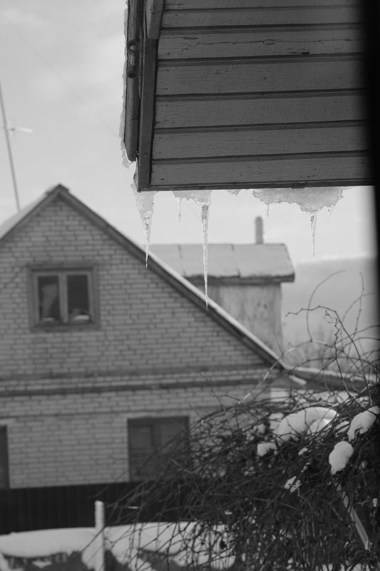 Новая зимаphoto preview