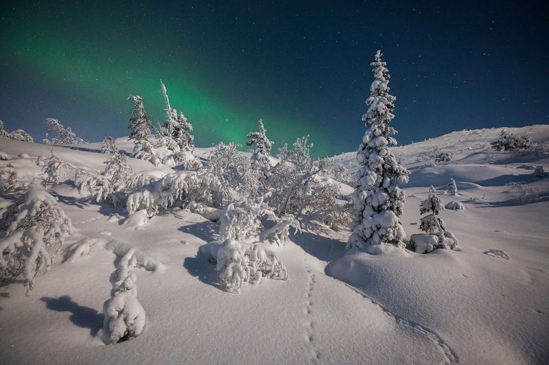 Под лунным сияниемphoto preview