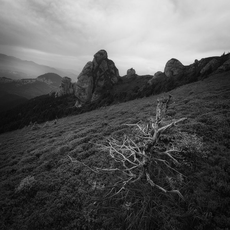 2022 фото превью