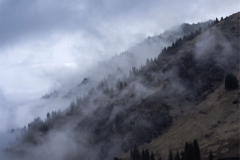 алатау, казахстан, горы, весна Ранняя весна на Алатау фото превью