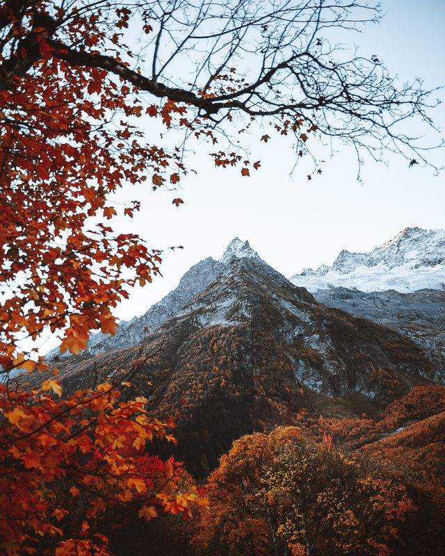 Гора и клен фото превью