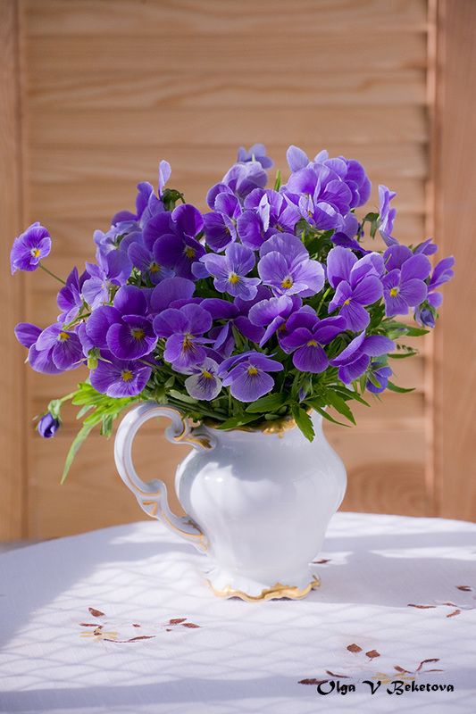 букет, натюрморт, цветы Фиолетовые анютины глазкиphoto preview