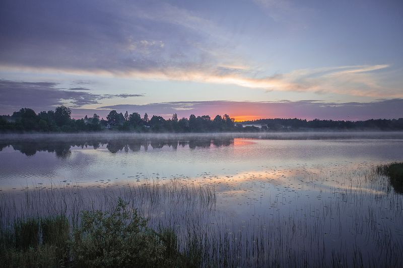 Рассветный мигphoto preview