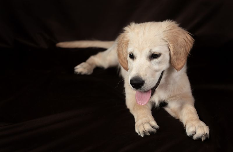 Мегиphoto preview