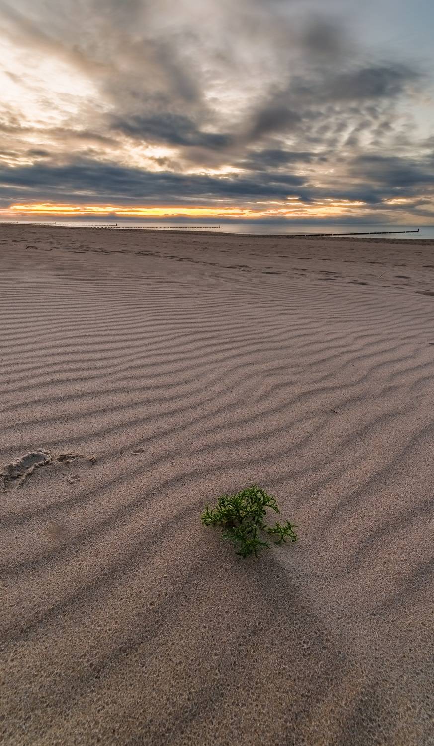 море, пляж, sea, baltic sea, балтийское море, польша, polska, poland, хельская коса, beach, Alexey S