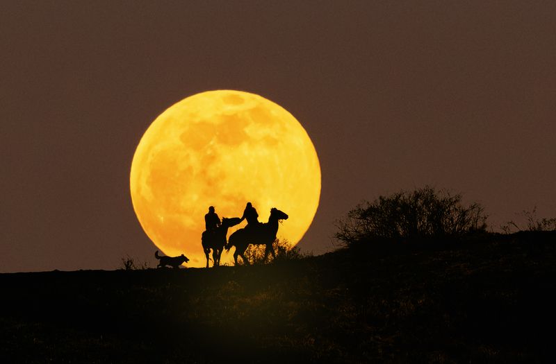 луна ,кавказ,горы,пейзаж,кисловодск Вечером на Малом Седле фото превью