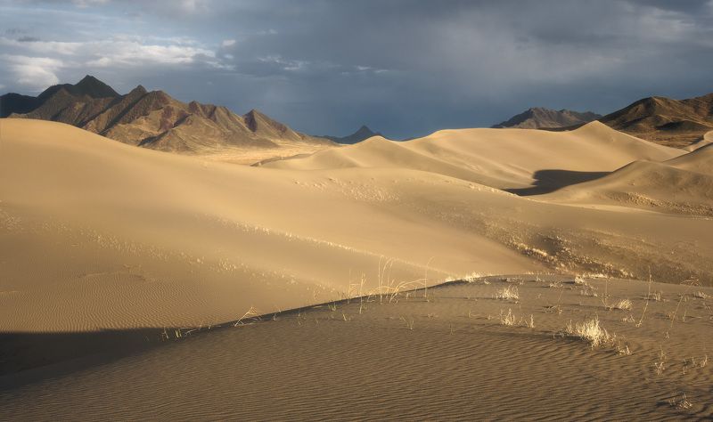 Золотистый вечерphoto preview