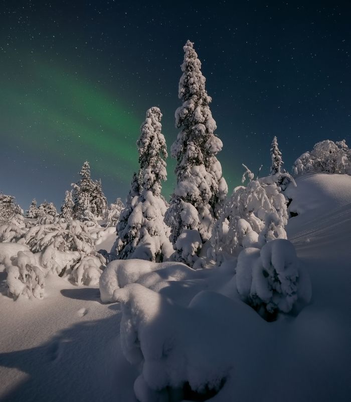 Звёздная ночьphoto preview