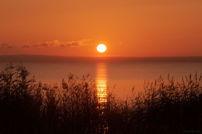 кургальский заказник, ленинградская область, финский залив, экологический маршрут, экотропа Кургальский заказник - Iphoto preview